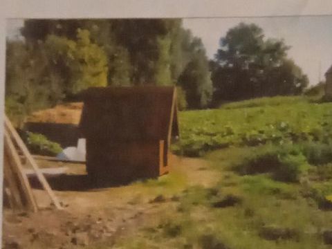 Niche pour chien 500 51120 Broyes