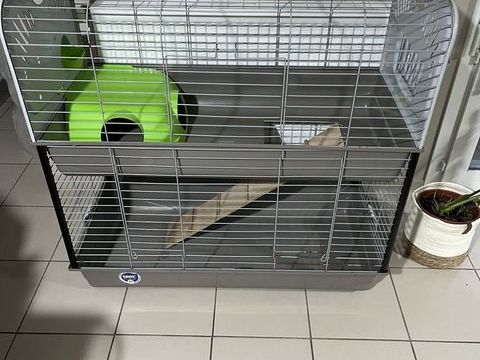 Double cage &agrave; lapin xxl super &eacute;tat 60 62260 Auchel