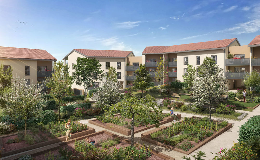 Appartements neufs   Rillieux-la-Pape (69140)