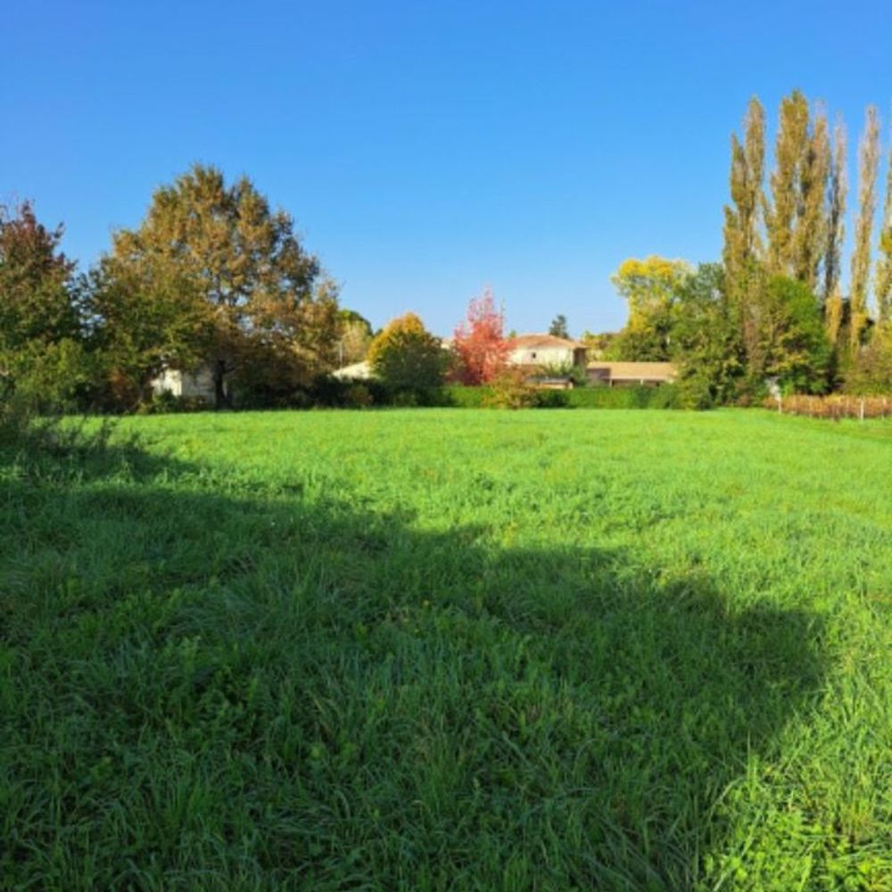 Maisons neuves   Saint-Denis-de-Pile (33910)
