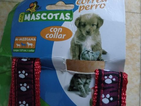 Collier+ laisse ? 13 34000 Montpellier