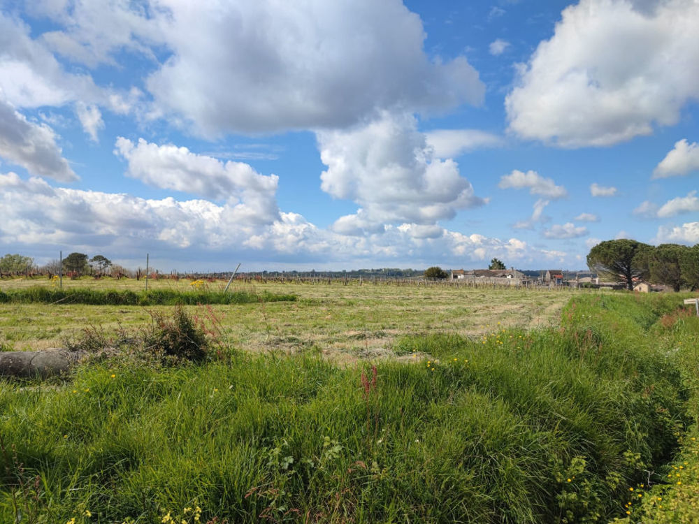 Maisons neuves   Omet (33410)