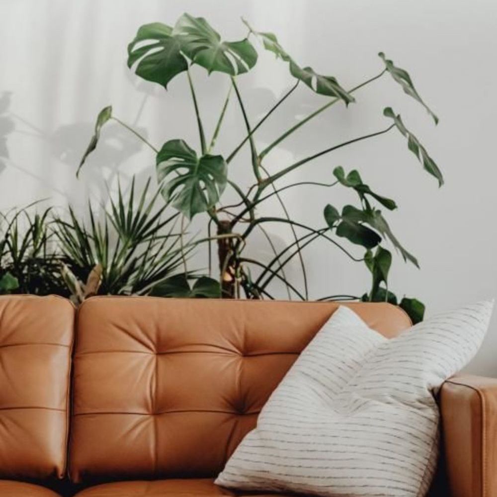 Appartements neufs   Villenave-d'Ornon (33140)