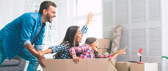 Agence RM AGENCY  Saint-Pierre