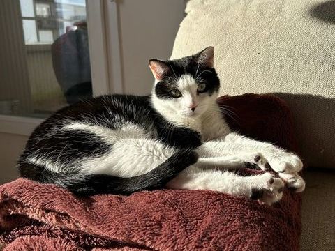 Marin 190 59113 Seclin