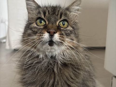 Evou 180 44000 Nantes