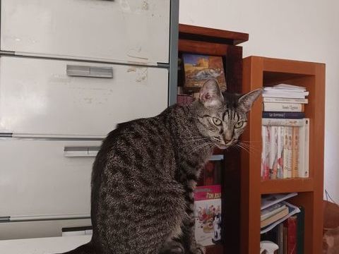 TARA 210 92400 Courbevoie