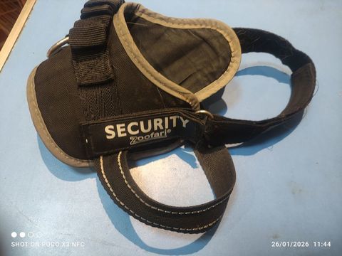 Harnais taille M chien 6 09700 Saverdun