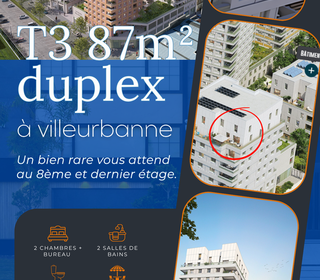  Duplex/triplex � vendre 3/4 pi�ces 87 m�