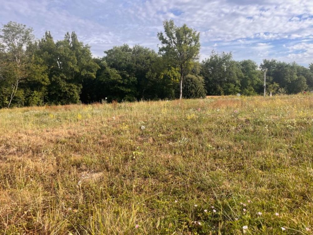 Terrains  batir   Frontenac (33760)