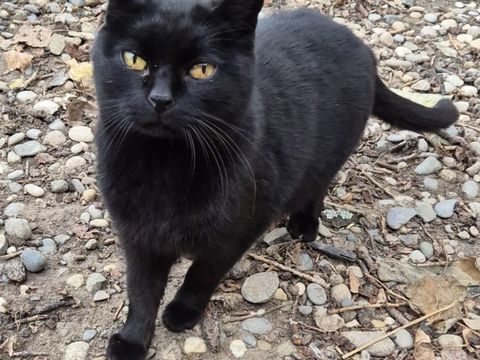 VICKY 50 26700 Pierrelatte