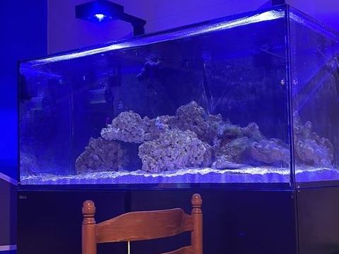 Aquarium red sea 350l complet 1300 59270 Bailleul