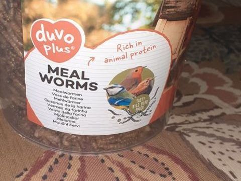 Vers de farine d&eacute;shydrat&eacute;s "duvo plus", 17O gr pour volaille 5 83160 La valette-du-var