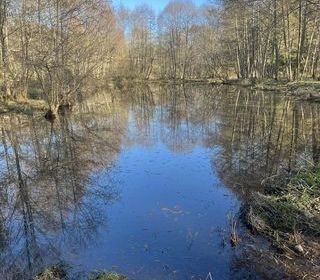  Propri�t�/ch�teau � vendre 1 pi�ce 10000 m�