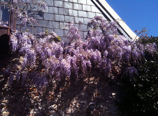  Maison � vendre 8 pi�ces 220 m�