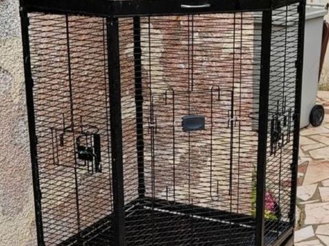 Gage pour perroquets 200 94440 Villecresnes