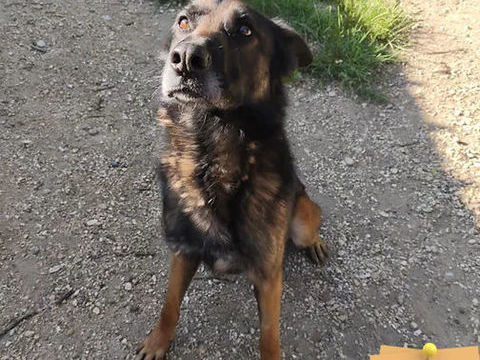 Maverick 230 26700 Pierrelatte