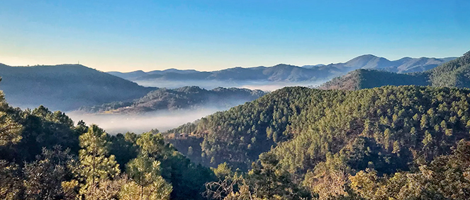 Agence PIERRES DES CEVENNES Le Collet-de-Dze