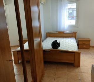  Appartement � louer 2/3 pi�ces 50 m�