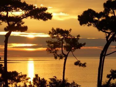 Agence ALLAN IMMOBILIER La Tremblade