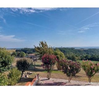 Location  Appartement 