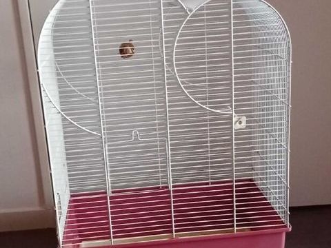 Cage Oiseaux 30 35800 Dinard