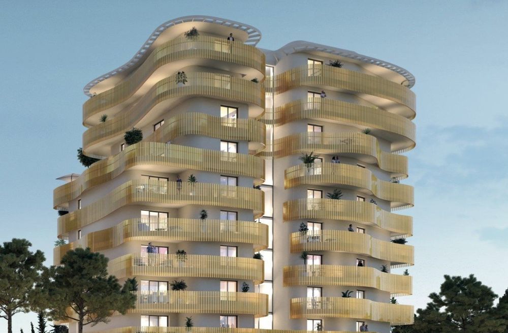 Appartements neufs   Montpellier (34000)