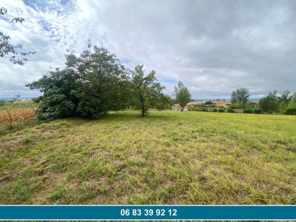 Maisons neuves   Agen (47000)