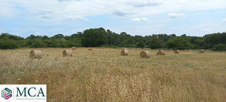  Terrain à vendre 