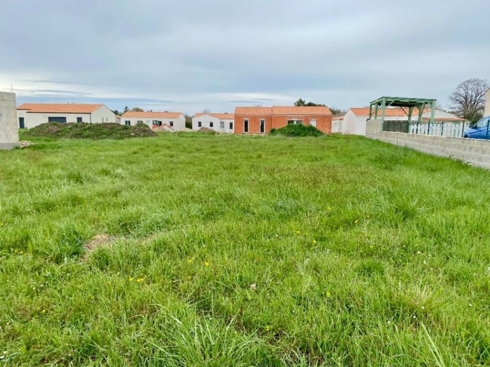 Maisons neuves   Corme-cluse (17600)