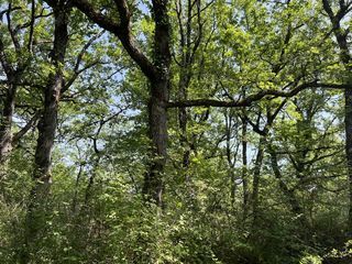  Terrain � vendre 125800 m�