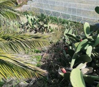  Maison � vendre 7 pi�ces 300 m�