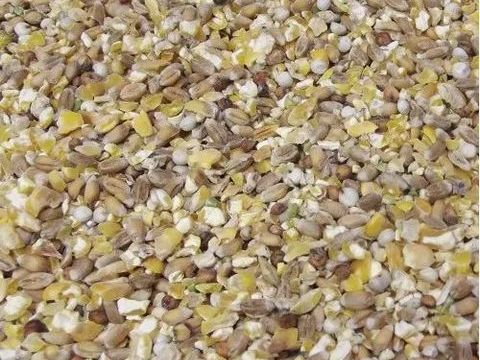 Graines bl&eacute; orge ma&iuml;s tournesol 1 88310 Cornimont