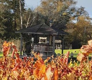 Location  Chambre d'h�te 