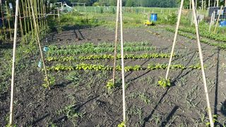  Terrain � louer 200 m�