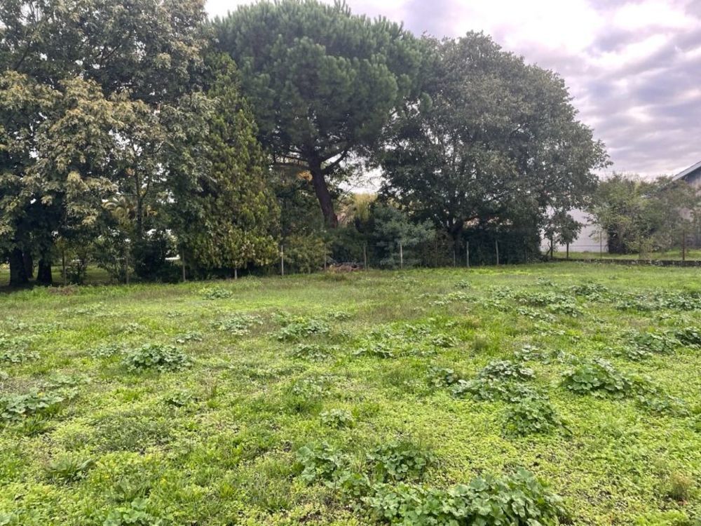 Maisons neuves   B�gles (33130)