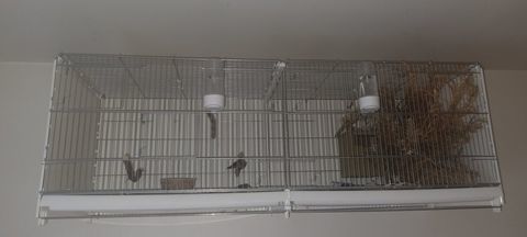 Cage d'&eacute;levage oiseaux pliable et d&eacute;montable 122 cm - 2GR 60 93200 Saint-denis