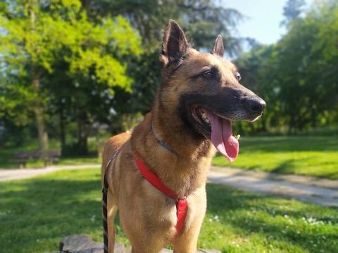 Digo (Indigo) 70 35000 Rennes