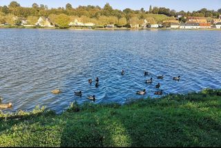  Maison � vendre 8 pi�ces 216 m�