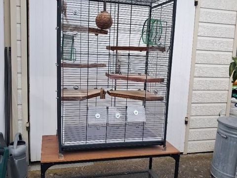 Cage pour gerbilles 130 33700 Mérignac