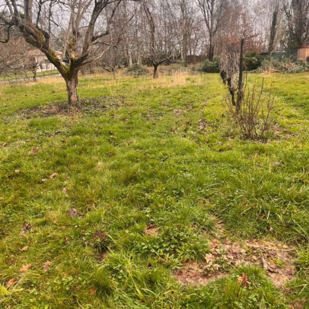 Maisons neuves   Madirac (33670)