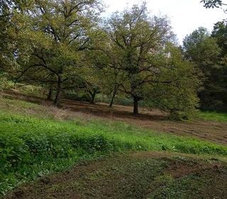  Maison � vendre 3 pi�ces 50 m�