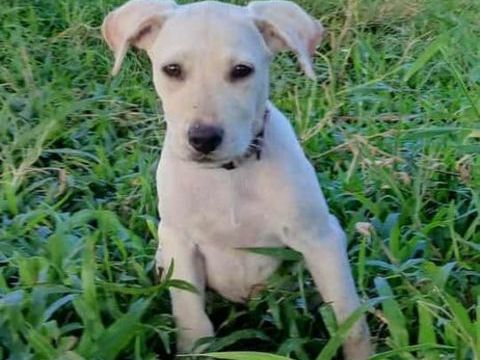 La jolie SUNKA 300 27500 Aizier