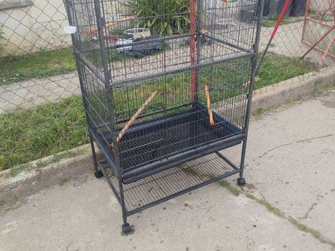 Cage oiseaux 60 86380 Vendeuvre-du-poitou