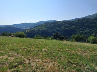  Terrain � vendre 2282 m�