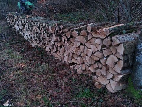 Bois de chauffage 60 Bailly-en-Rivière (76)