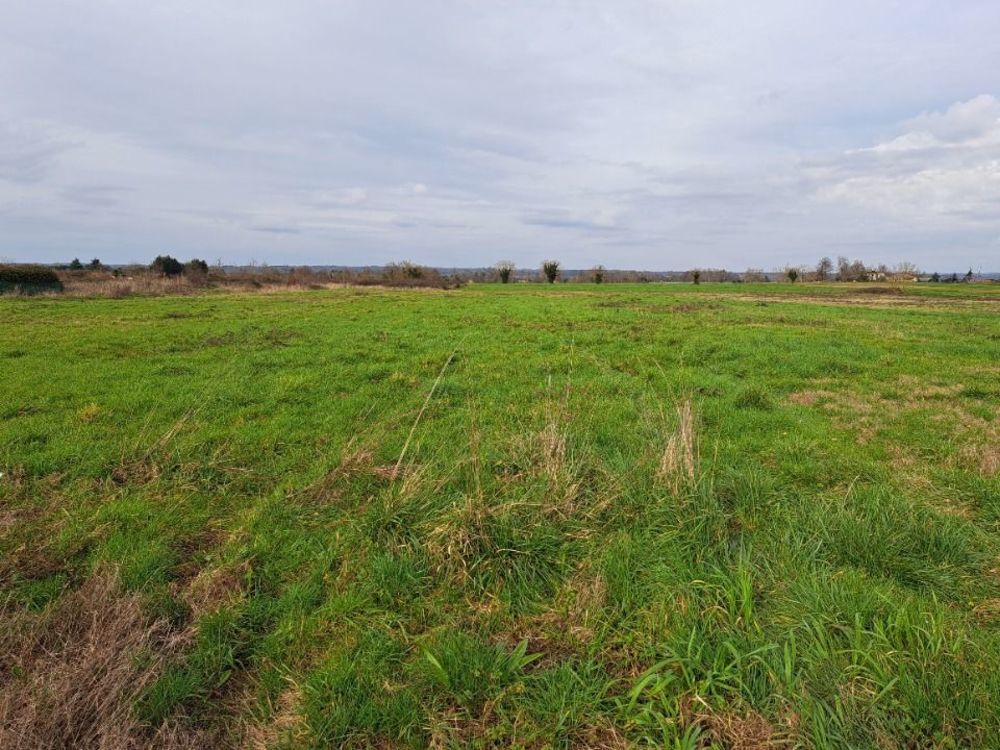 Maisons neuves   Lamonzie-Saint-Martin (24680)