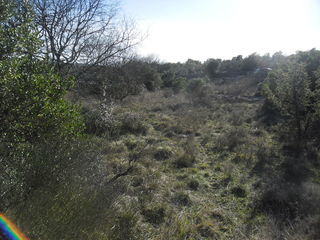  Terrain � vendre 6575 m� Sauve