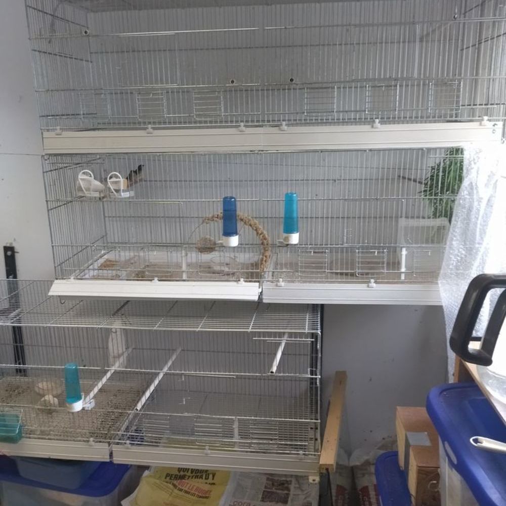   Vente matériel oiseaux et produits alimentaire  