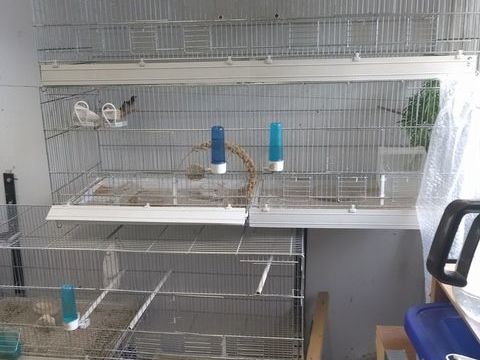 Vente mat&eacute;riel oiseaux et produits alimentaire 1 30140 Anduze